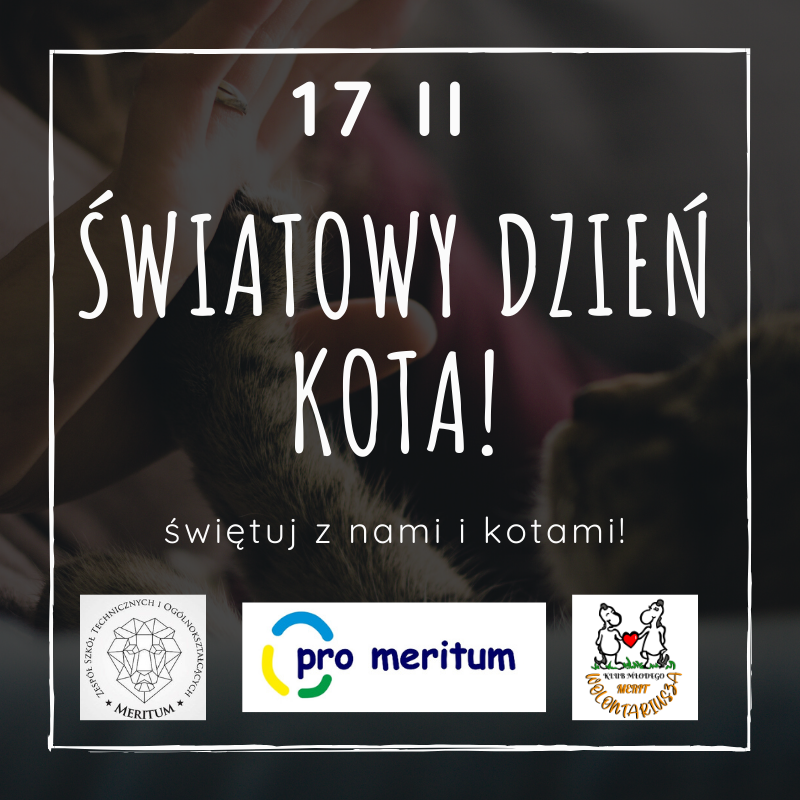 Światowy Dzień Kota