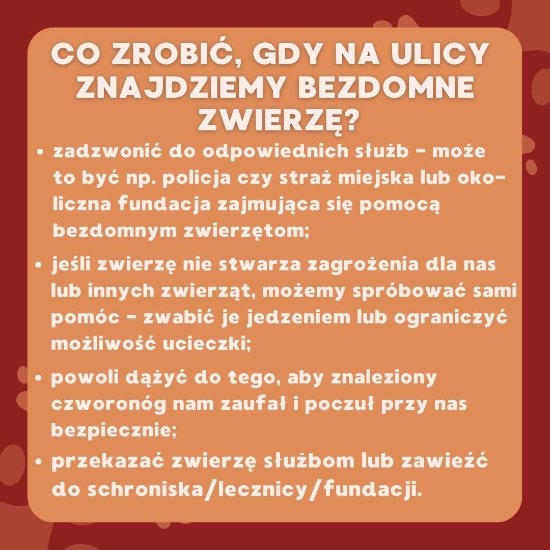 pomocnalapa